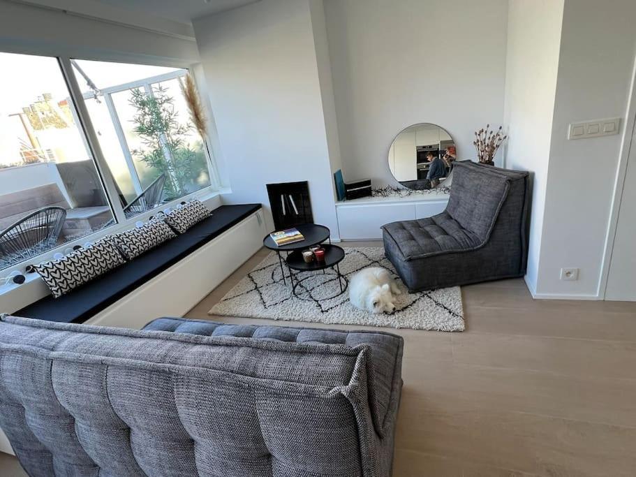 Beautiful Penthouse At 5Min Of Albert Place Knokke-Heist Εξωτερικό φωτογραφία